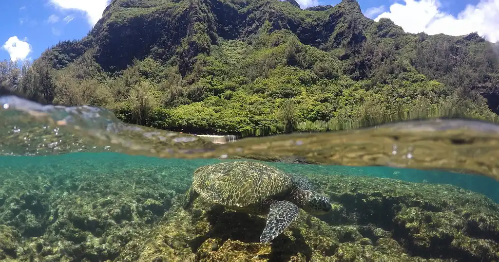 NaPali Coast Super Raft Adventure