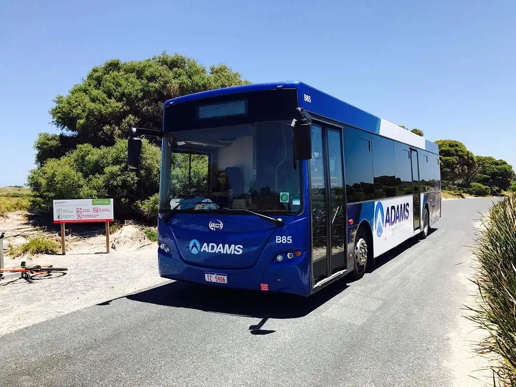 Rottnest Island Bayseeker Package | Ferry & Bus Tour From Perth or Fremantle