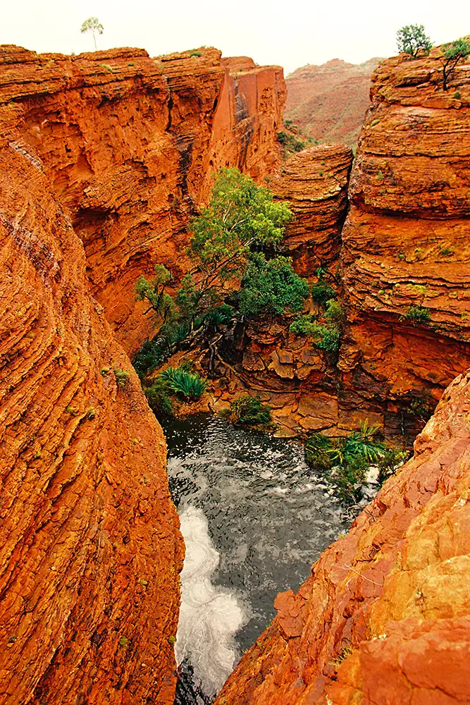 Alice Springs to Alice Springs Uluru Tour - 2 Days 1 Night