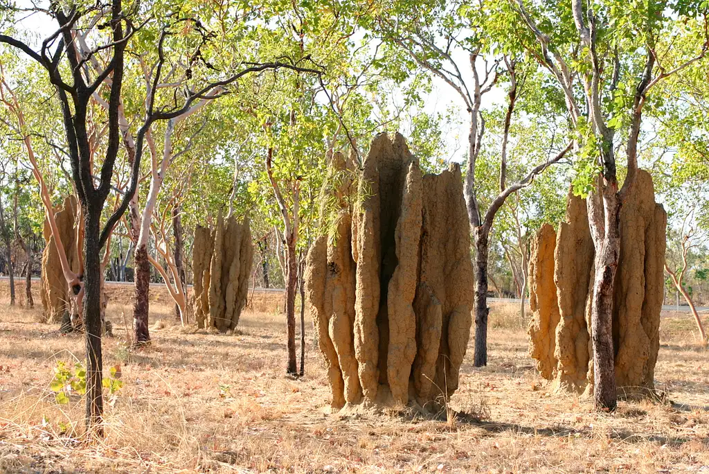 4 Day Kakadu, Katherine & Litchfield Explorer - From Darwin