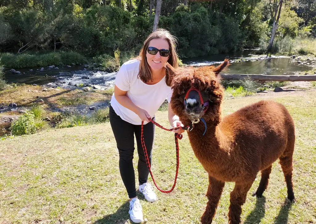 Lamington National Park, O'Reilly's & Vineyard Tour