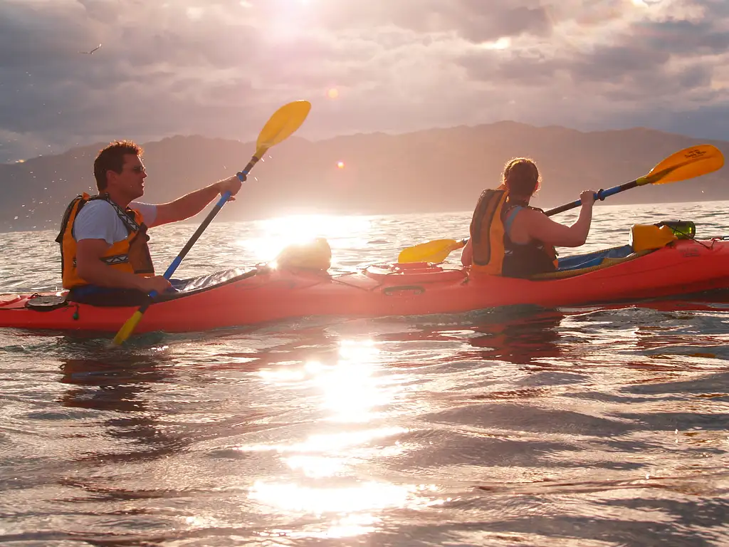 Kaikoura Guided Sunset Kayak Tour