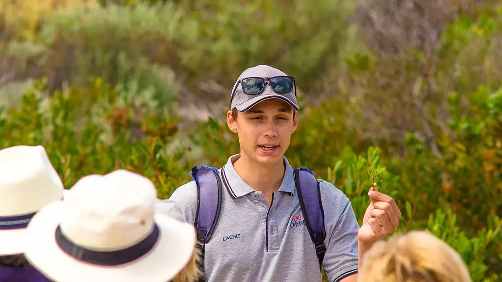 Coorong Adventure Cruise Along Murray River