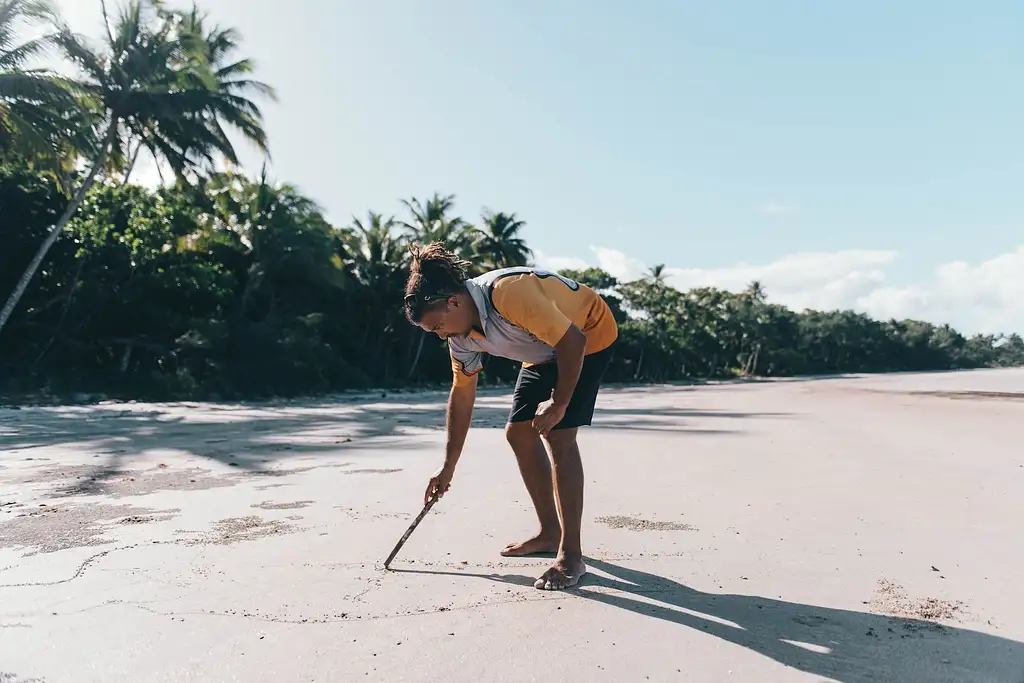 Cape Tribulation Tour - Full or Half Day Option