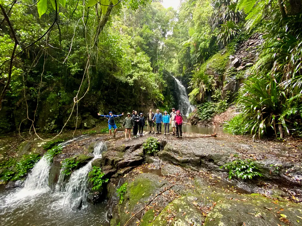 Rainforests of Lamington Wilderness Tour from the Gold Coast