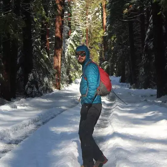 Giant Sequoia Hike or Snowshoe