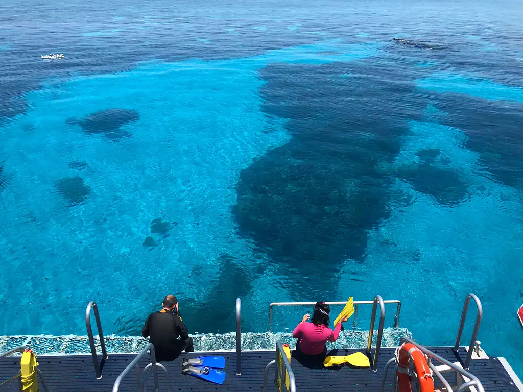 Cairns Dreamtime Dive And Snorkel