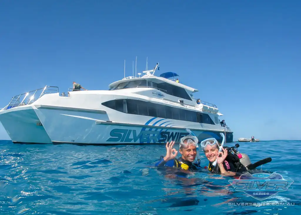 Silverswift Reef Cruise with Snorkel, Intro or Cert Dive