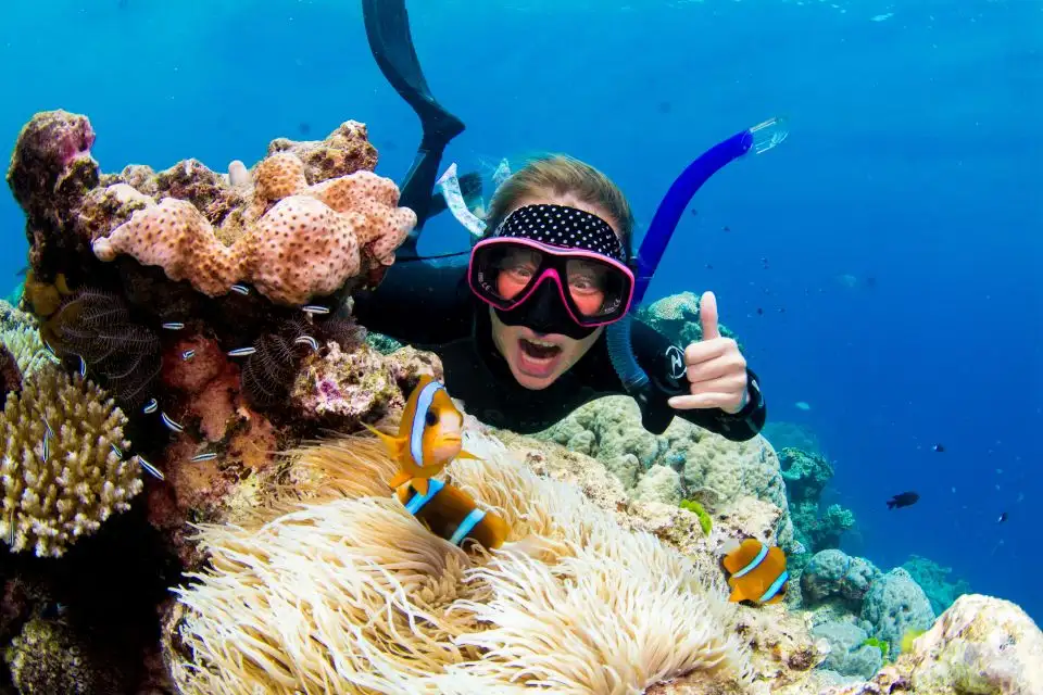 Cairns Dreamtime Dive And Snorkel