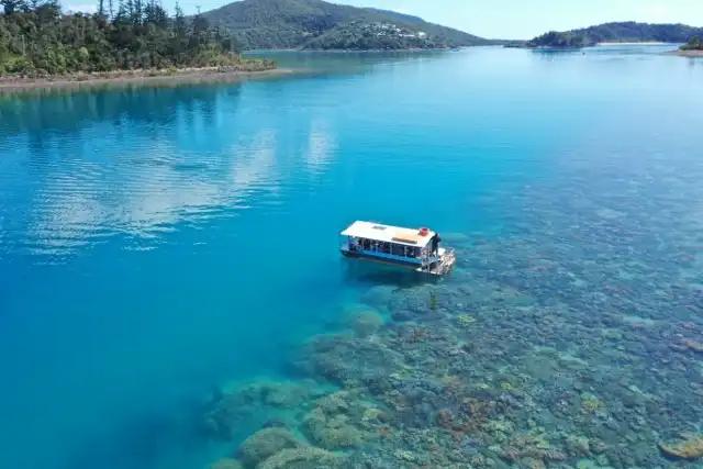 Glass Bottom Boat Tour - Shute Harbour