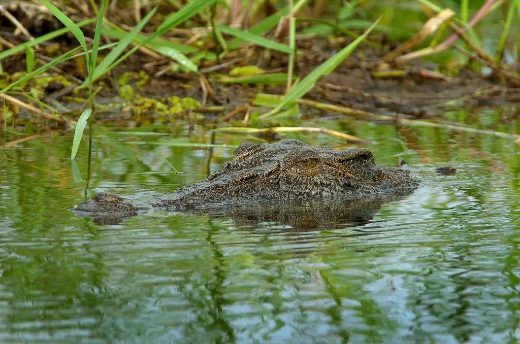 Kakadu Cultural Experience | Includes Flight, Cruise, Lunch & More!