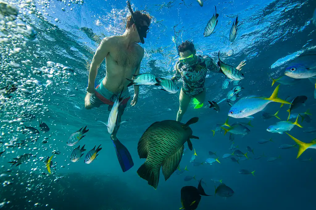 Outer Great Barrier Reef Tour on Viper | from Airlie Beach