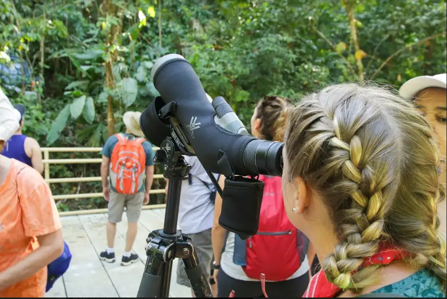 Manuel Antonio Park Tour