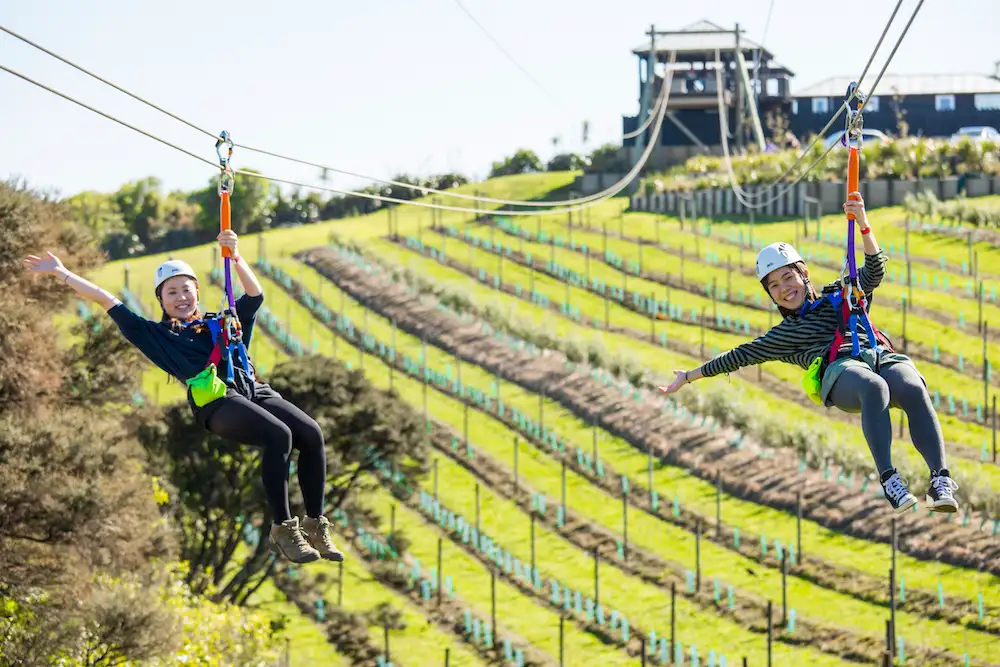 Ziplining & Forest Walk Waiheke Island