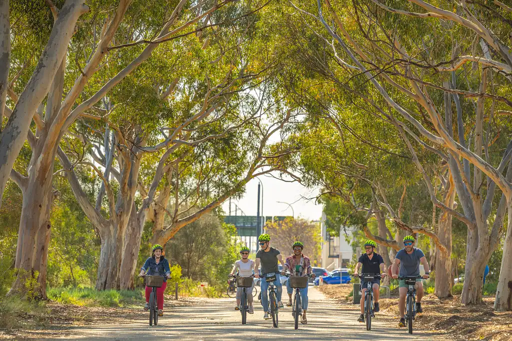 Adelaide City Scenic Electric Bike Tour | Lunch Included