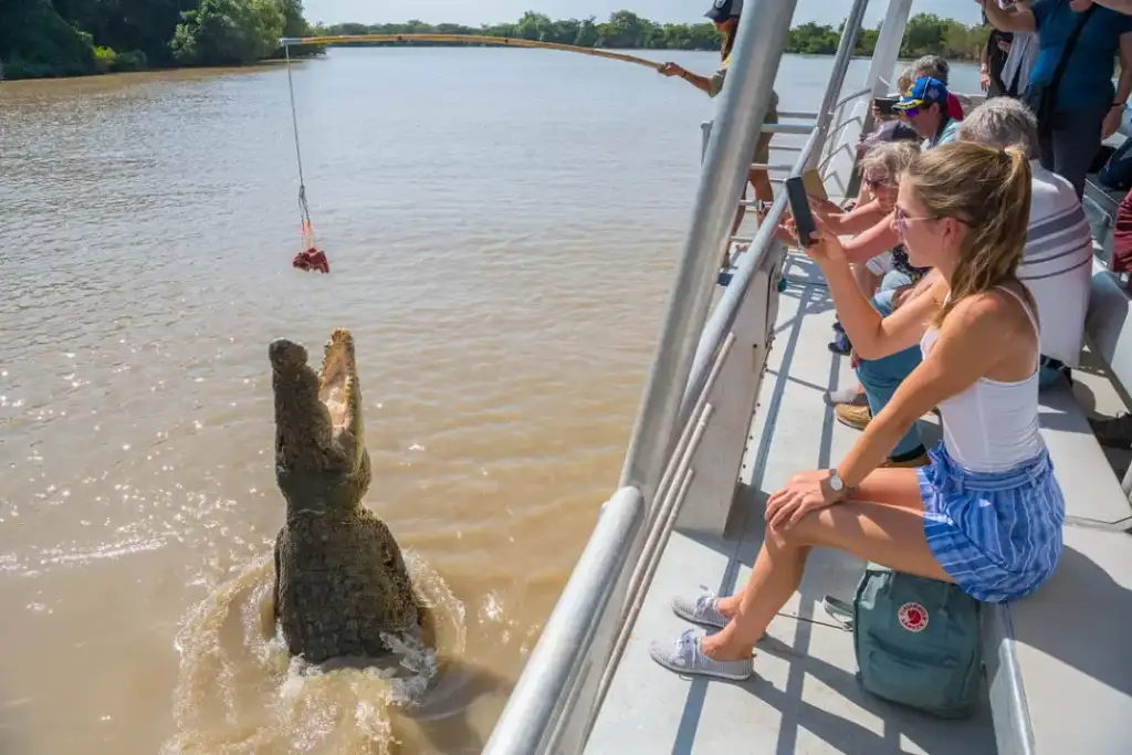 Jumping Crocodile Tour from Darwin - TNT24OCTSALE