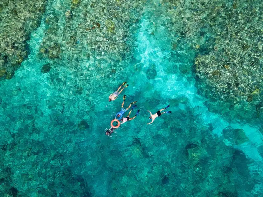 Cairns Dreamtime Dive And Snorkel