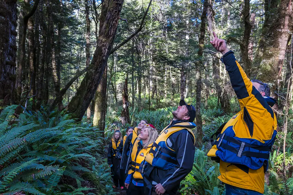 Pure Wilderness Jet Boat Tour