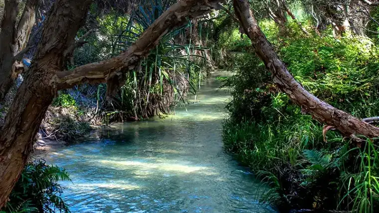 Fraser Island 2 Day 4WD Camping Tour