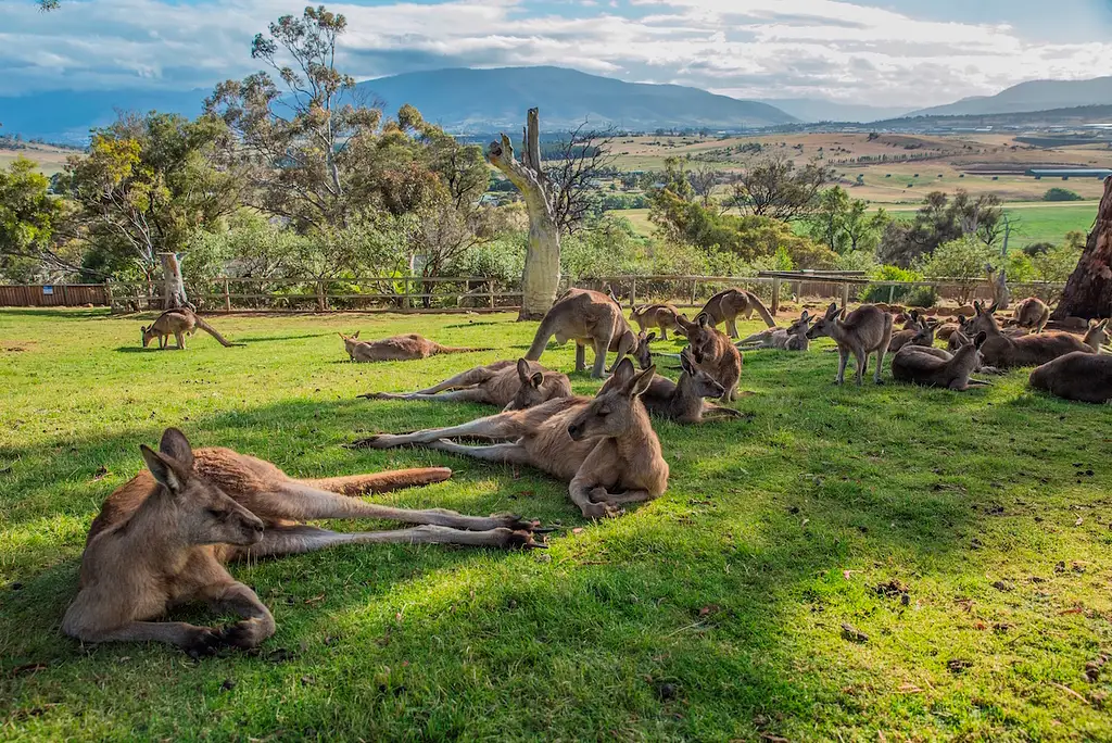 Hobart Highlights Full Day Tour