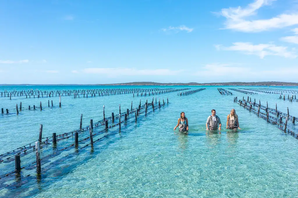 Coffin Bay Oyster Farm & Bay Tour