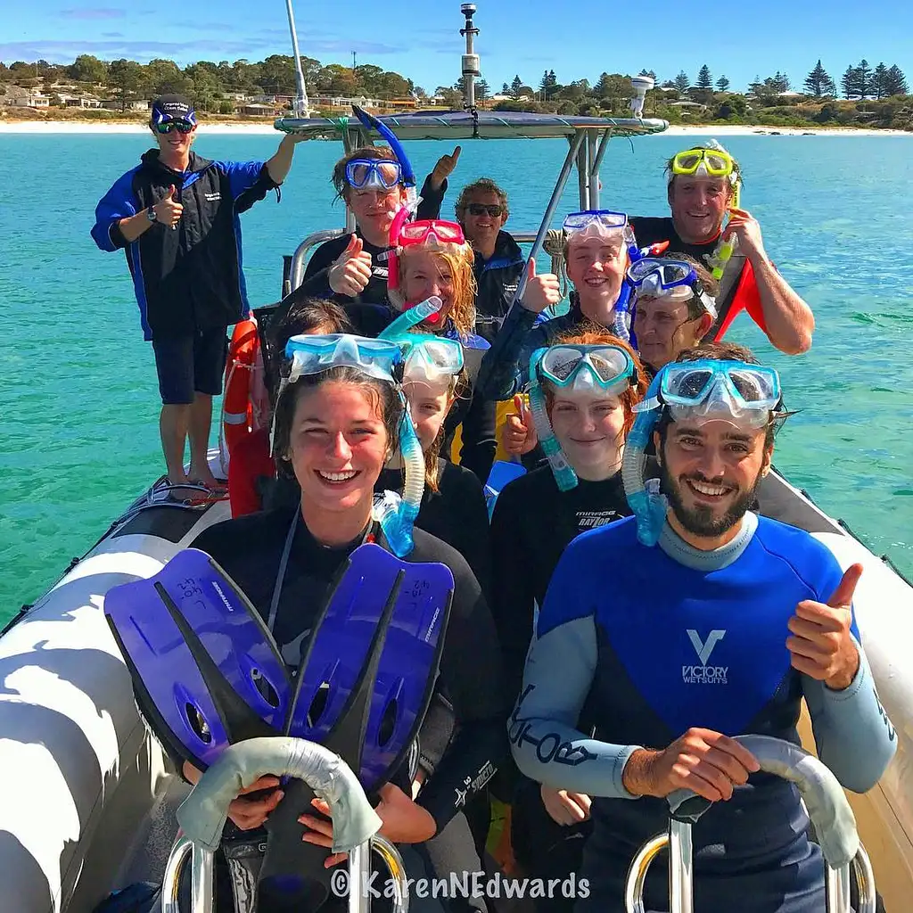 Kangaroo Island Ocean Safari - Snorkelling Tour with Dolphins and Seals