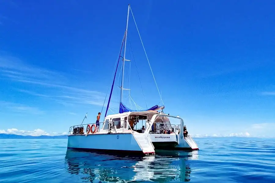 1 Day Sailing Tour: Reef Daytripper