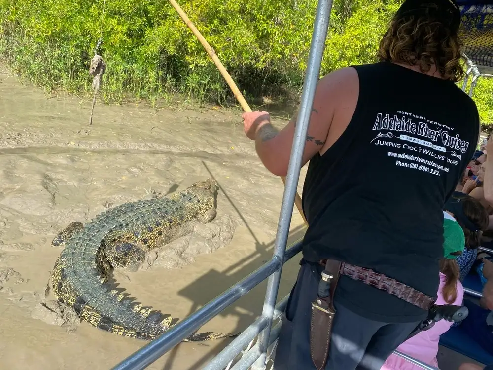 The Croc Bus to the Famous Jumping Crocodile Cruise