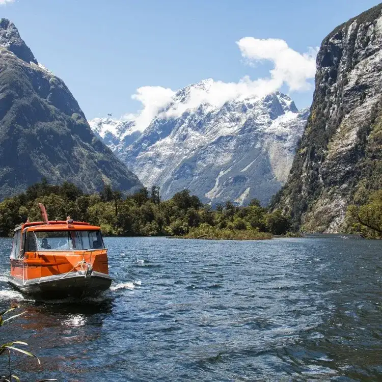 Milford Sound Cruise & Milford Track Walk