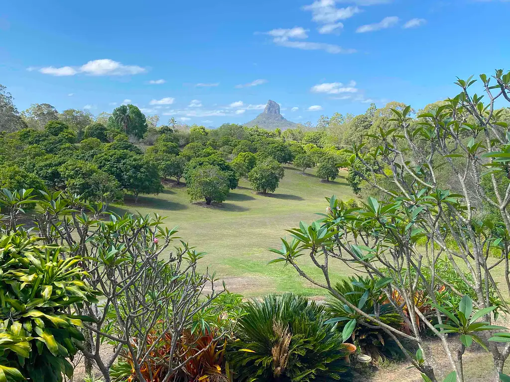 Australia Zoo - Glass House Mountains Tour from Sunshine Coast