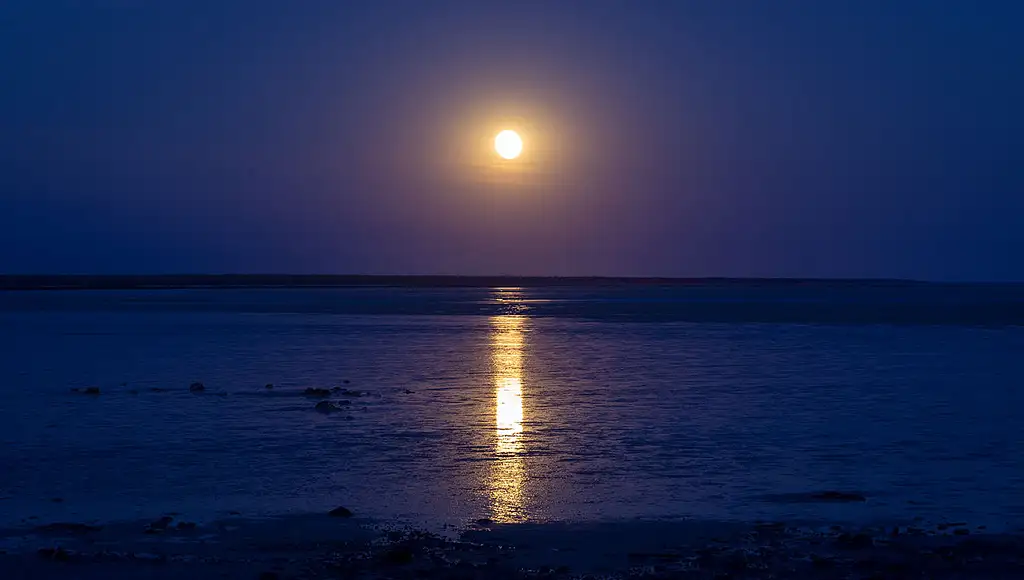 Broome Staircase to the Moon & Sunset Dinner Cruise