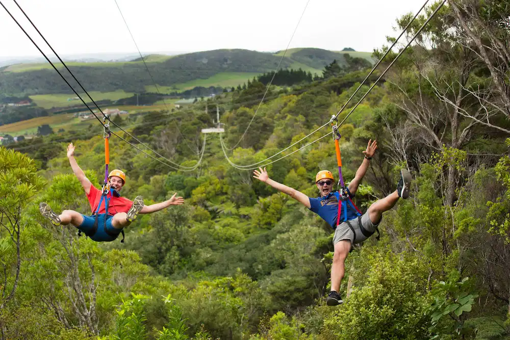 Ziplining & Forest Walk Waiheke Island