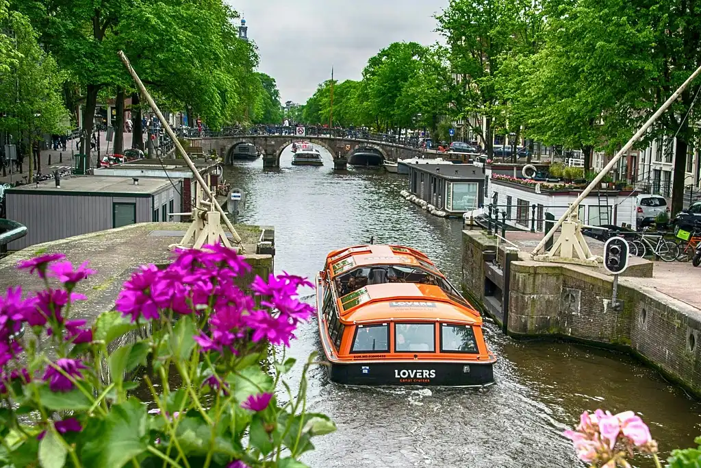 Amsterdam highlights private half-day walking tour