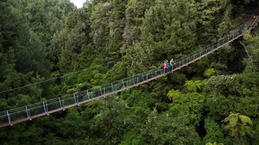 The Ultimate Canopy Tour