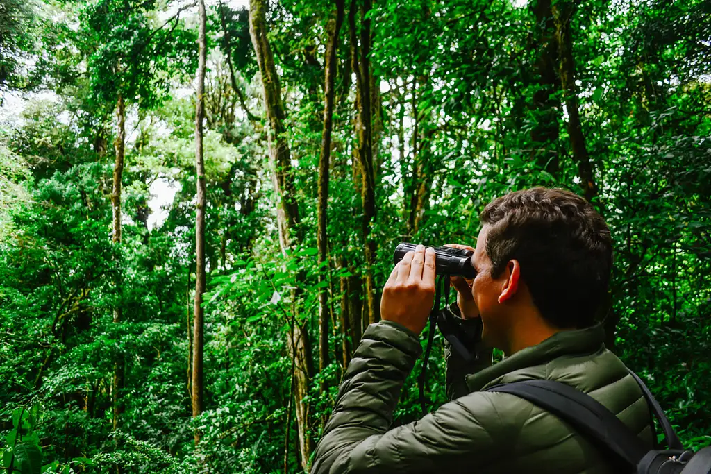 Cloud Forest Chills at Monteverde