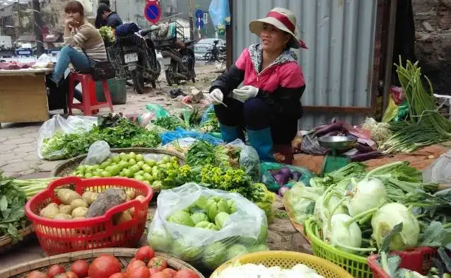 Traditional Vietnamese Cooking Class