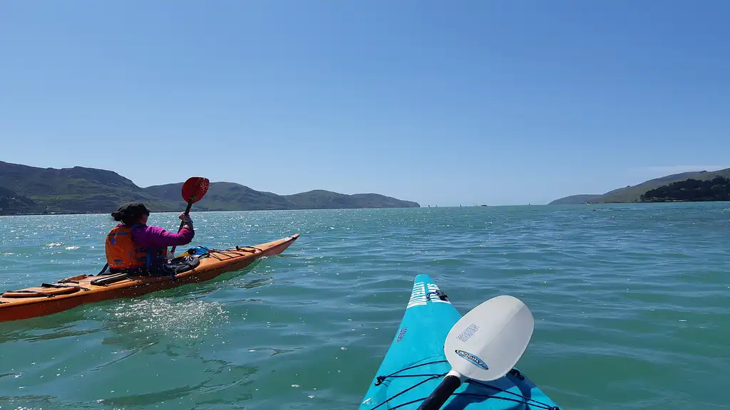 Sea Kayaking, Lyttelton Harbour & Quail Island Tour