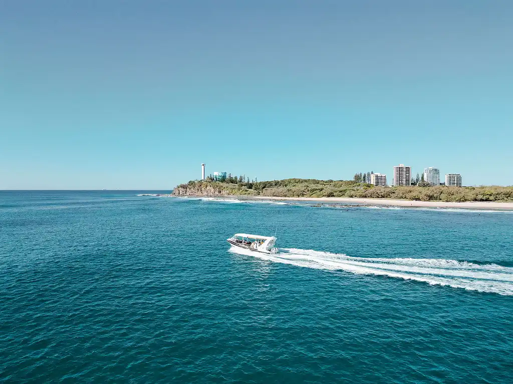 Mooloolaba Whale Watching 2 Hour Experience - Small Group