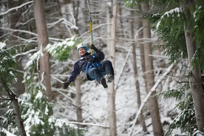 Queenstown Ziplining Adventure - Moa Tour