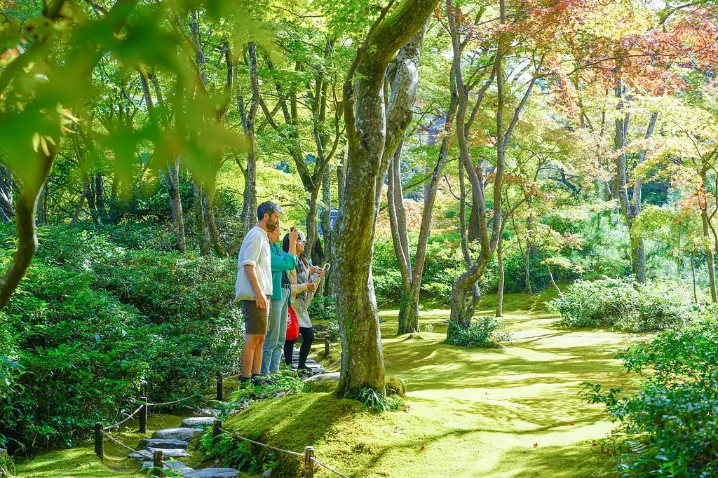 Kyoto Arashiyama Bamboo forest & Garden Half-Day Walking Tour