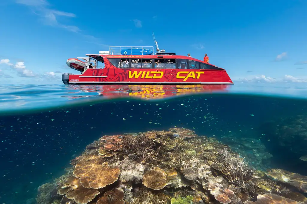 Outer Reef Snorkelling Adventure