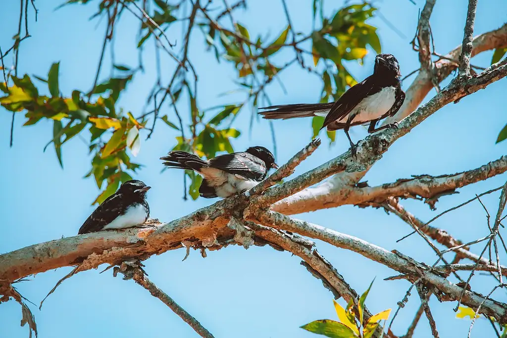 Outback Pub Safari | Pub Crawl Northern Territory