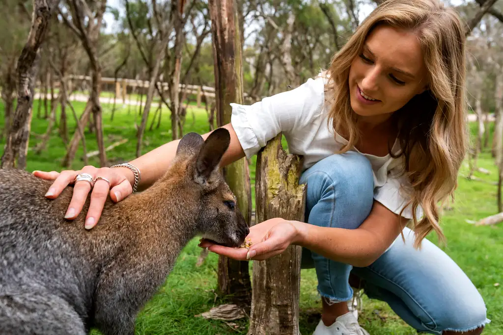 Penguins and Wildlife Nature Experience - Melbourne