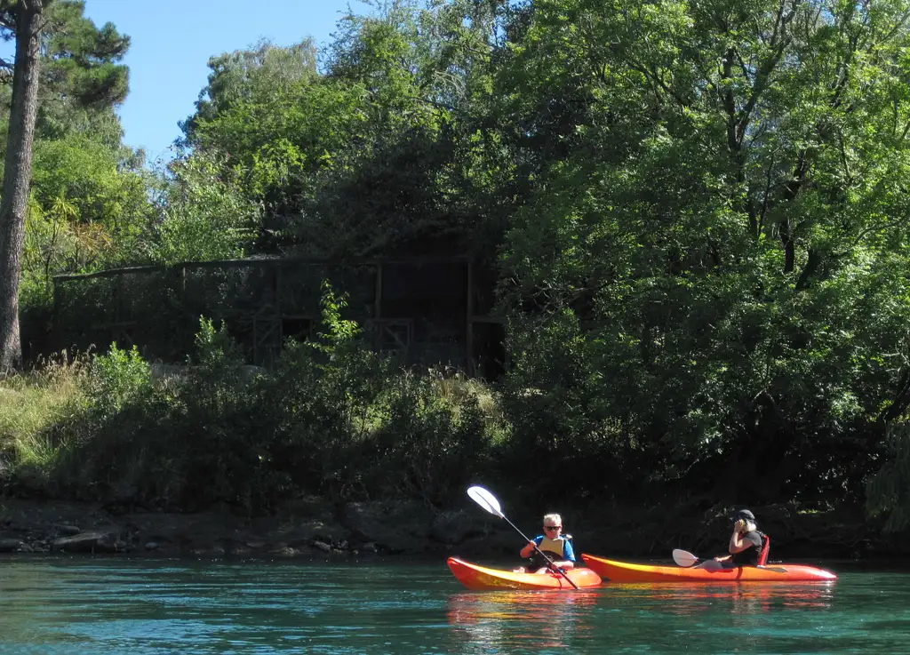 Waikato 'River Float' Kayak Tour - 2 Hours