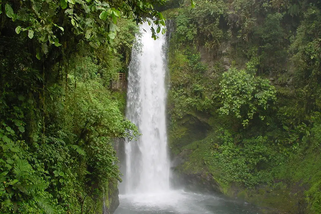 La Paz Waterfall Gardens Tour from San José