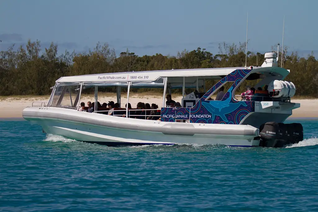 Hervey Bay Nature Cruise