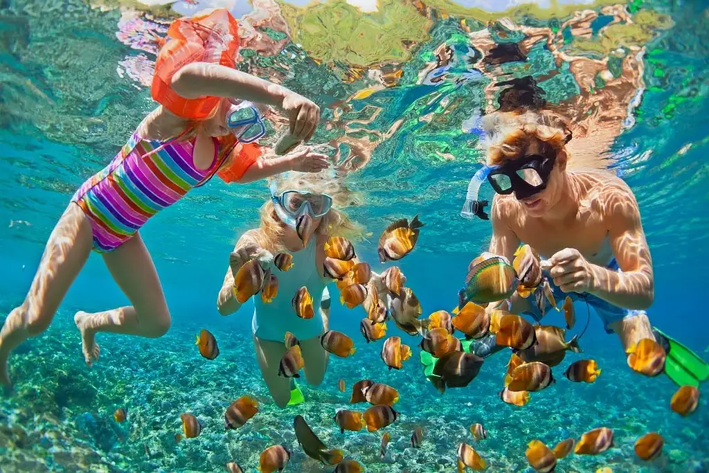 Snorkelling Tour From Gili Trawangan | Private Tour