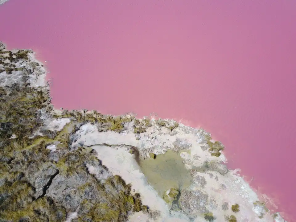 Pink Lake Buggy Tour | Western Australia