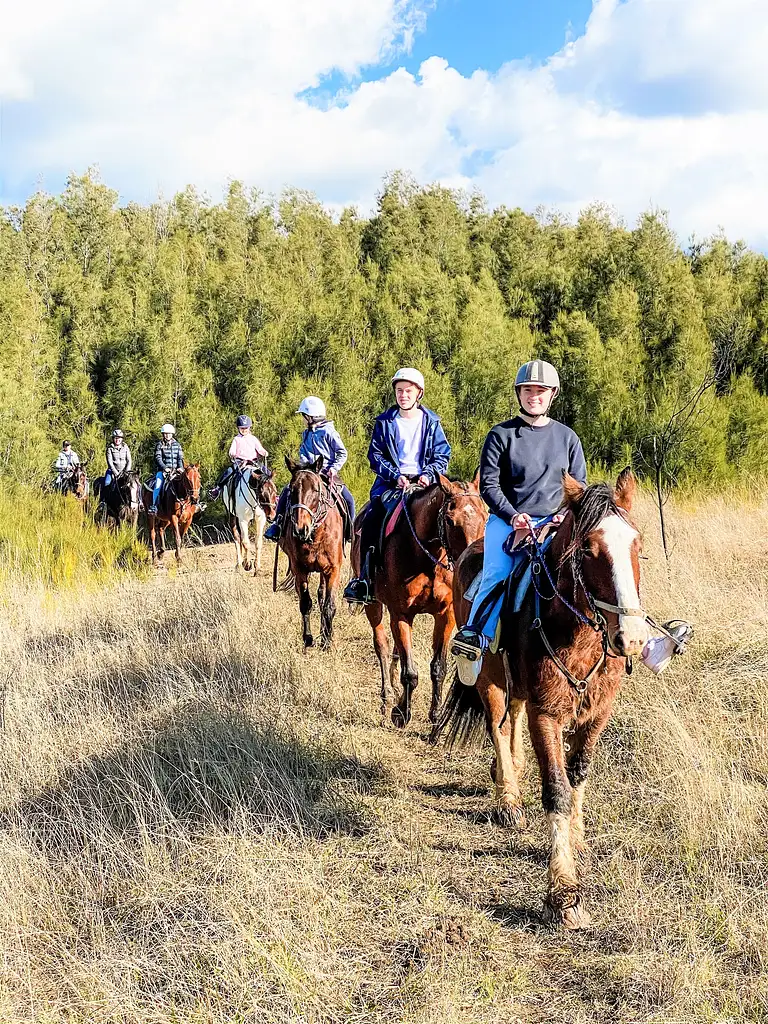 Hunter Valley Bushland Trail Horse Ride