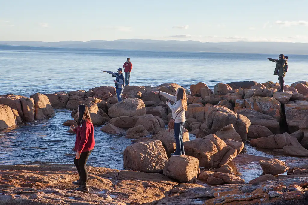 Wineglass Bay Day Tour From Hobart